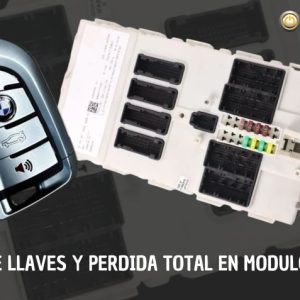 curso modulos bcd y fem